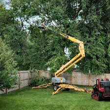 Best Commercial Tree Services  in Hanley Hills, MO